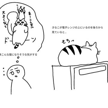 うちの猫　その20