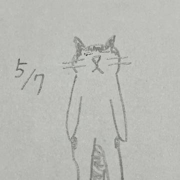 20260507の猫