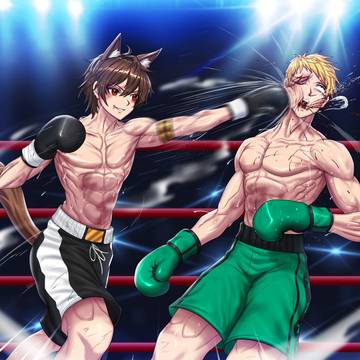 Commission- boxing match