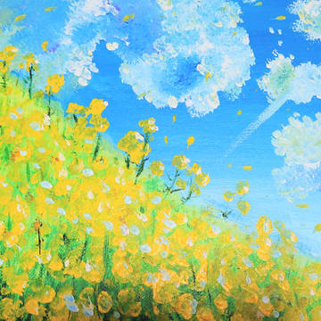 菜の花と青空飛行機雲