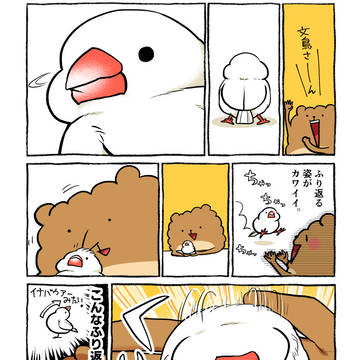 ふりむき文鳥