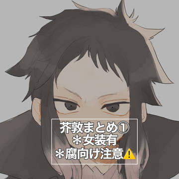 芥敦まとめ①