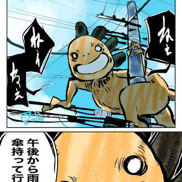 朝、電柱の上に変なのがいた