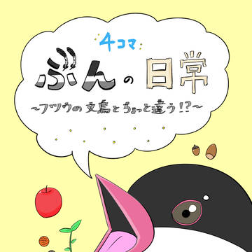 ぶんの日常~フツウの文鳥とちょっと違う⁉~