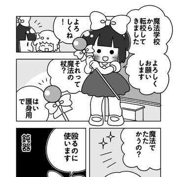 杖