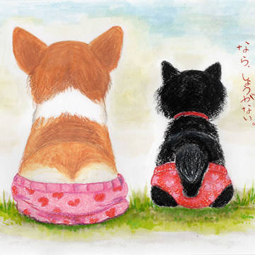いちまい絵本 コーギーあんずと黒猫くぅちゃんの日々候 No.5