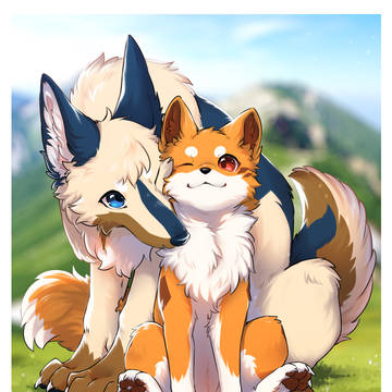 Two wanko
