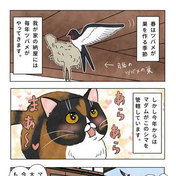 ツバメの季節🌹