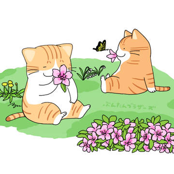 ツツジ