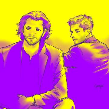 SPN S/D Log12