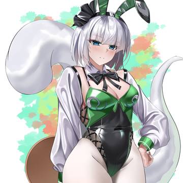 兔子小姐魂魄妖梦