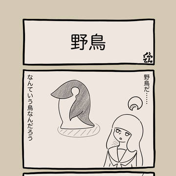 野鳥