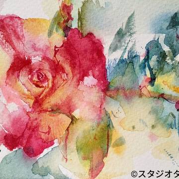 5月のバラ