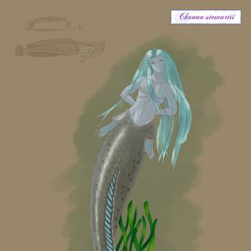 Mermen's Anatomy 1 - Snakehead