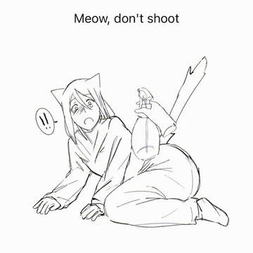 meow, don't shoot