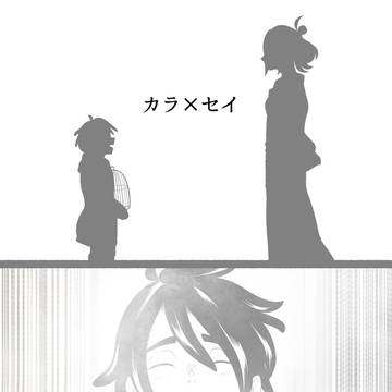 元プラズマ団のセイカの話11