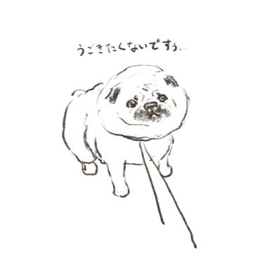 パグ