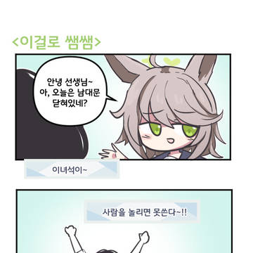 이걸로 쌤쌤