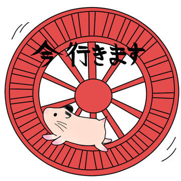 今行きます
