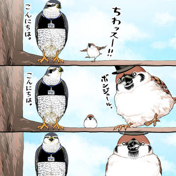 二度見