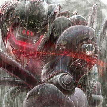 雨の森をゆく