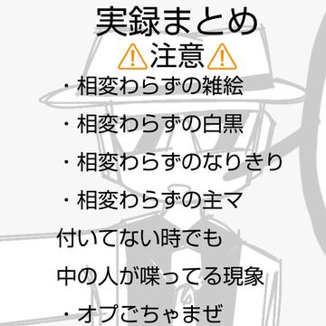 実録まとめ#13