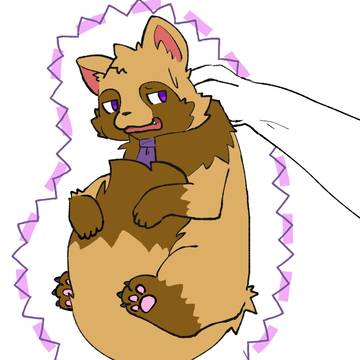 ウィルたぬき