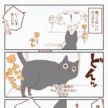 猫日記まとめっめ