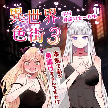 異世界色街3巻　表紙