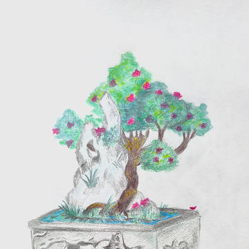 bonsai