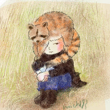 あらいぐまのしょうねん