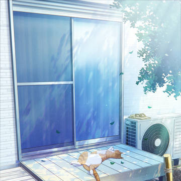 今日も良い天気だにゃ