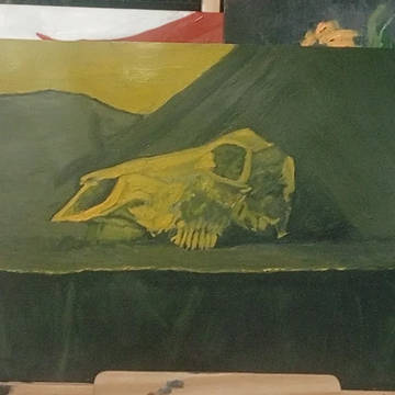 Craneo de Vaca