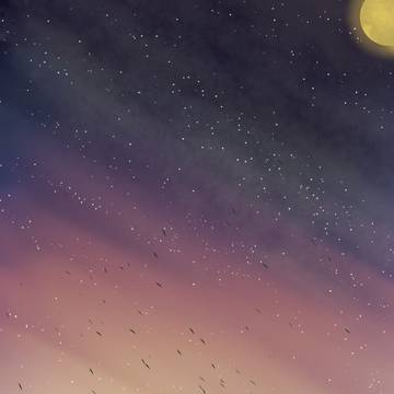 Skies