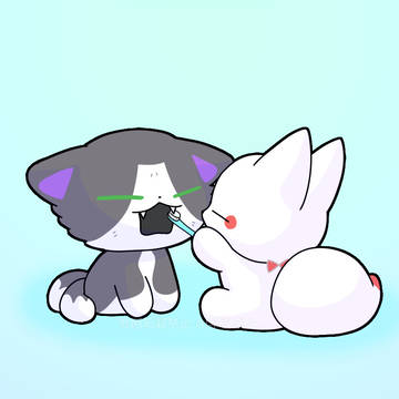 歯磨き