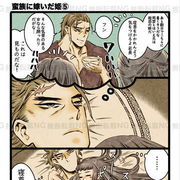 蛮族に嫁いだ姫