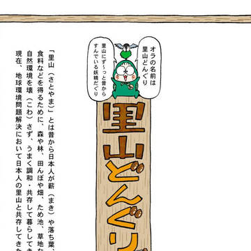 「里山どんぐり 里海よへいどん編」つやまあきひこ