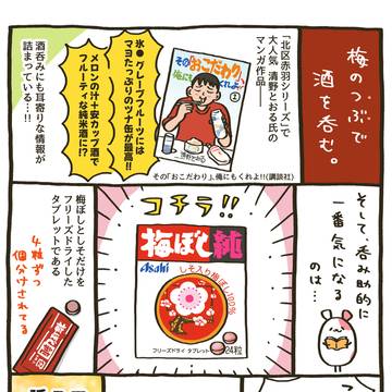 271杯目:梅ぼし純で酒を飲む