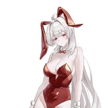 Shirts and Bunny Hiyuki