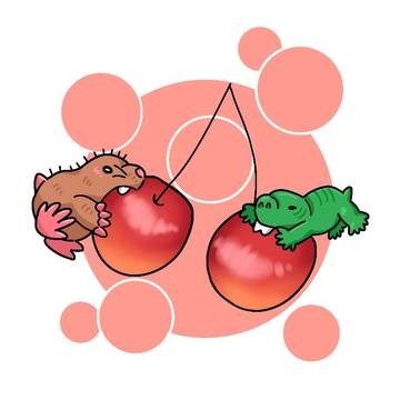 ミドモグ