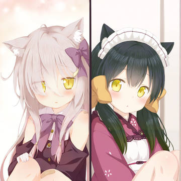 两只小笨猫~