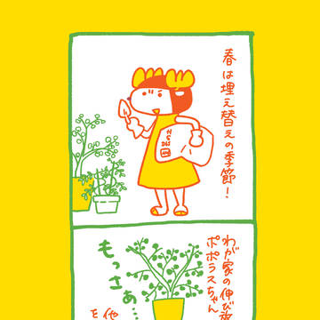 【上げ直し】春は植え替え