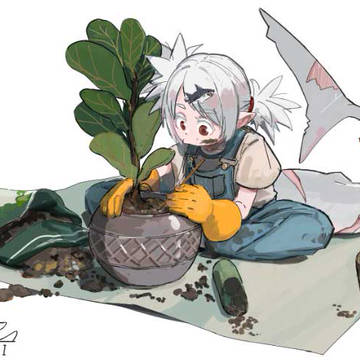 サメの子