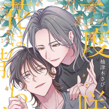新連載のお知らせ【二度咲きの花は散らない】