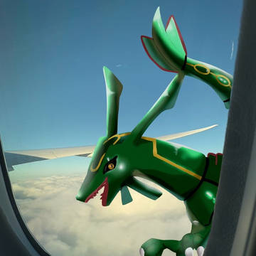飛行機からの景色