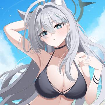 黒ビキニシロコテラー