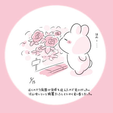 今日の日記
