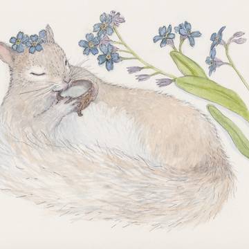 Squirrel botanical illustration