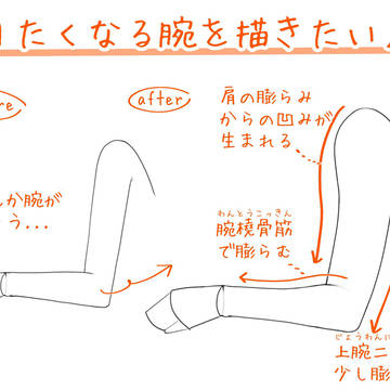 触りたくなる腕を描きたい人へ