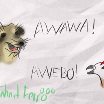 hyrax and willow